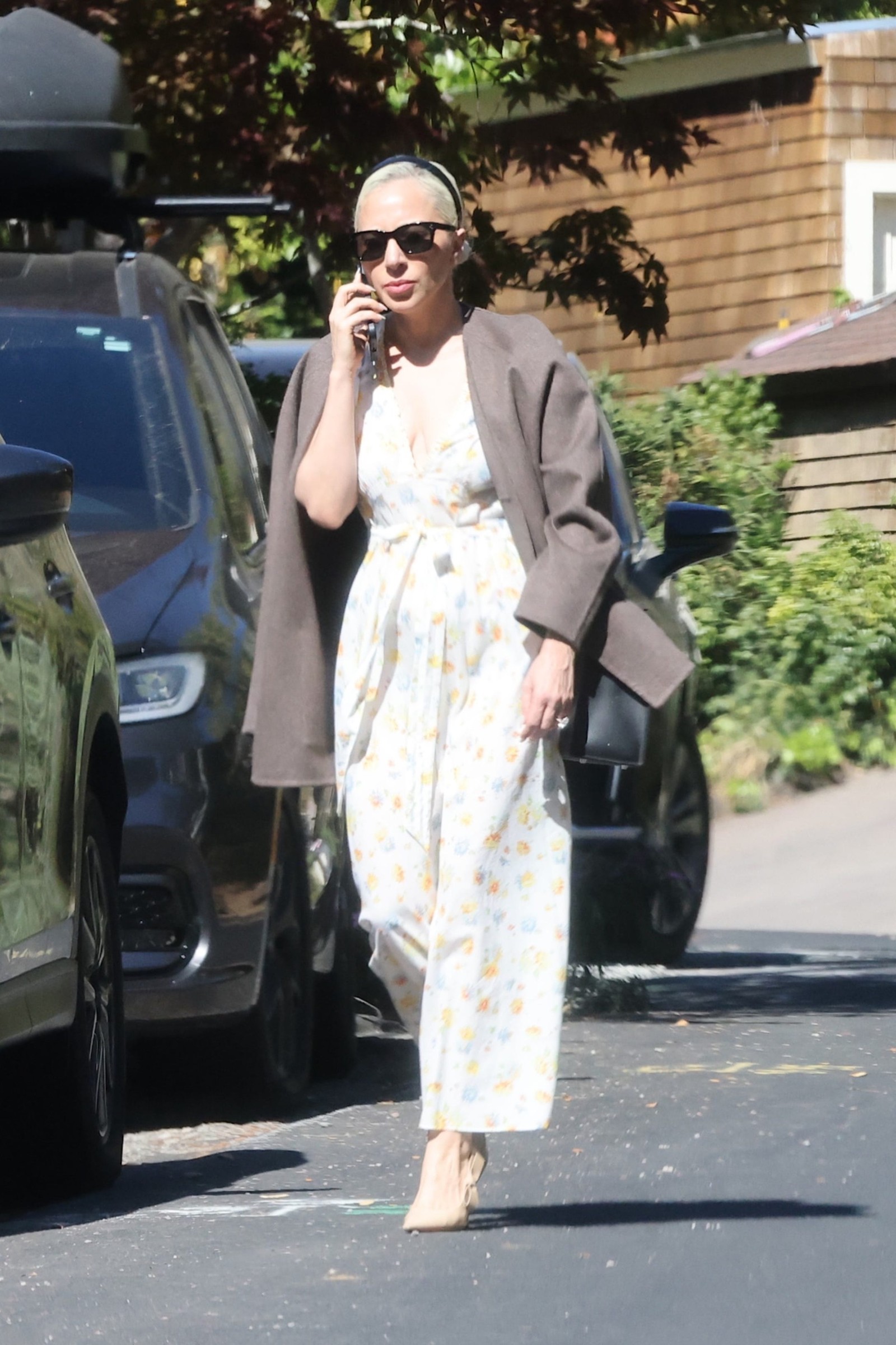 lady gagamichael polansky