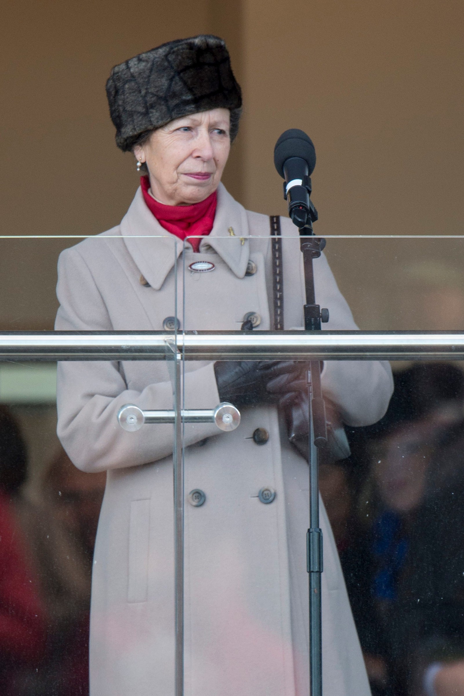 Cheltenham Races
