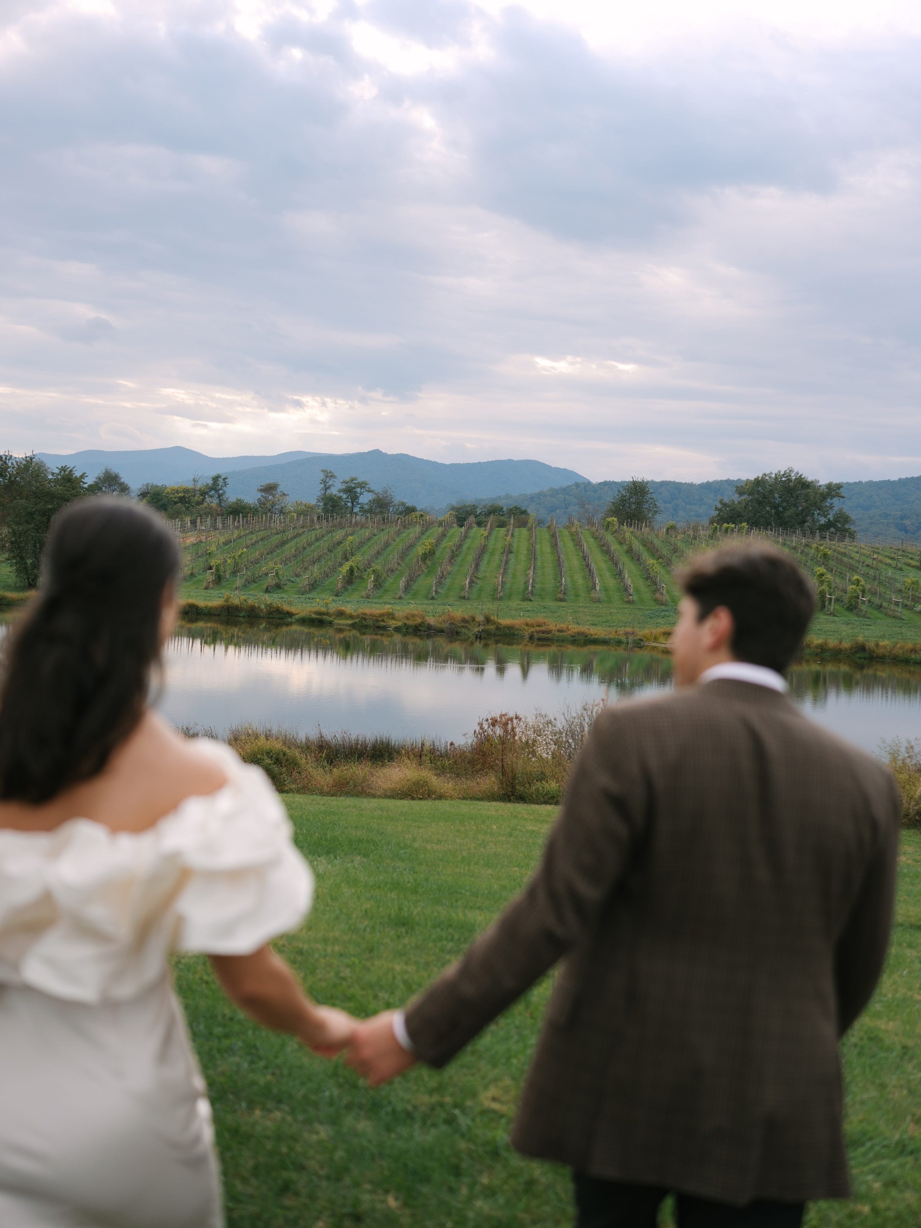 Couple holding hands while looking at a vineyard and mountains under a cloudy sky.