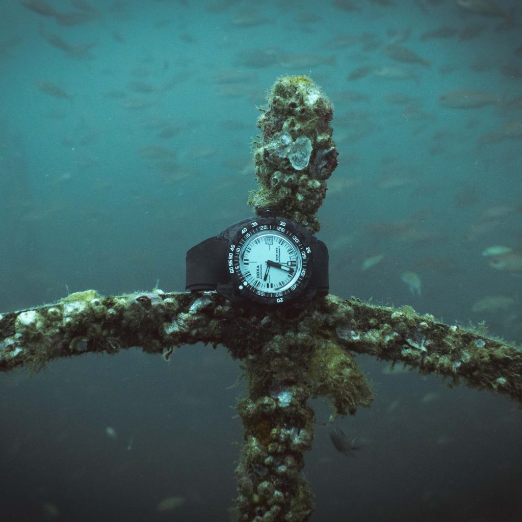 Diving Trip Mexico Gulf With Doxa Watches and SHIPS - Event Report Derek Haager - 11