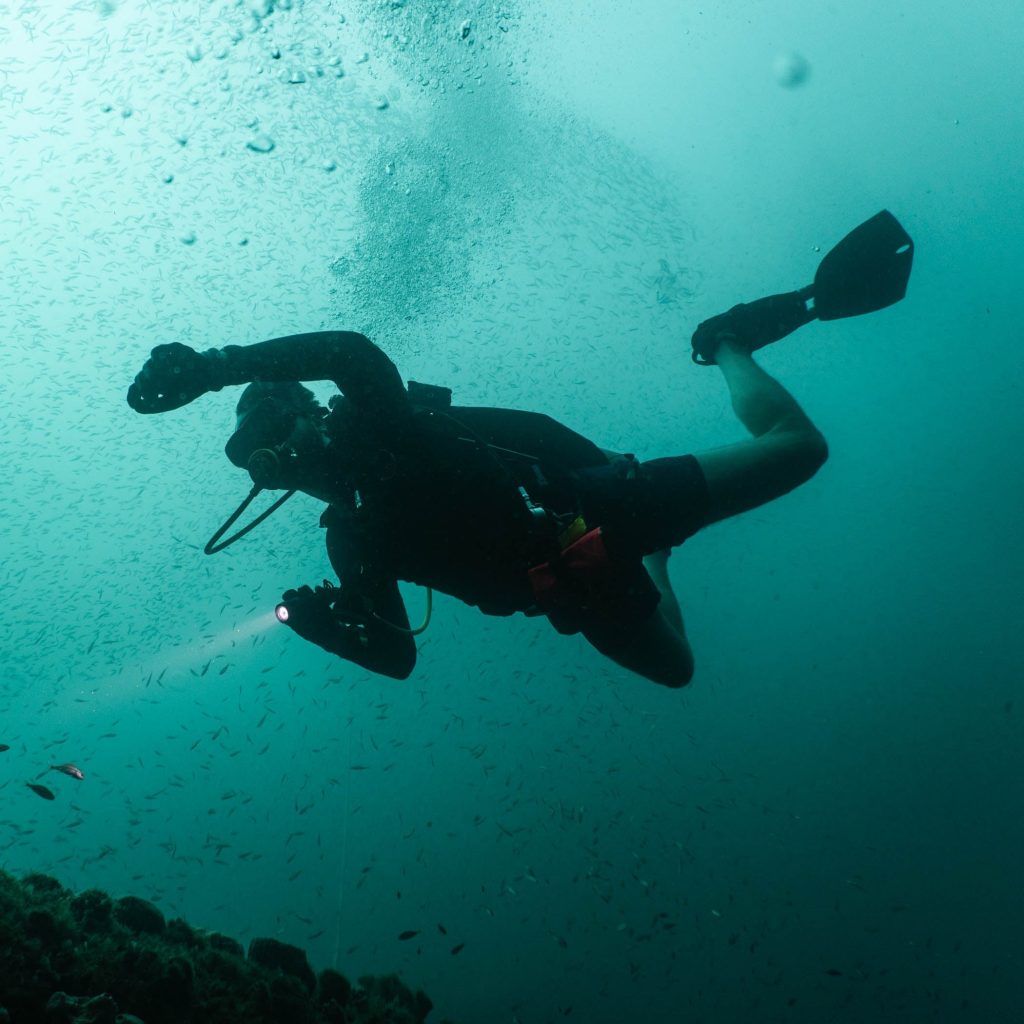 Diving Trip Mexico Gulf With Doxa Watches and SHIPS - Event Report Derek Haager - 13