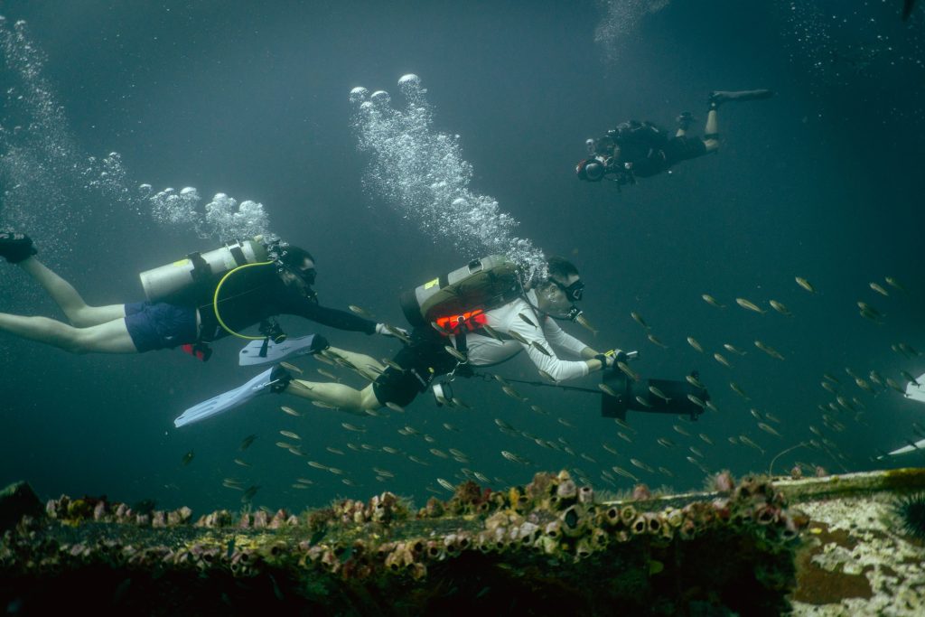 Diving Trip Mexico Gulf With Doxa Watches and SHIPS - Event Report Derek Haager - 18