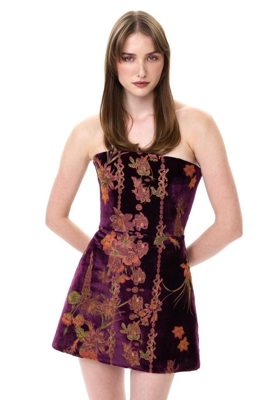 Burgundy Velvet Minidress