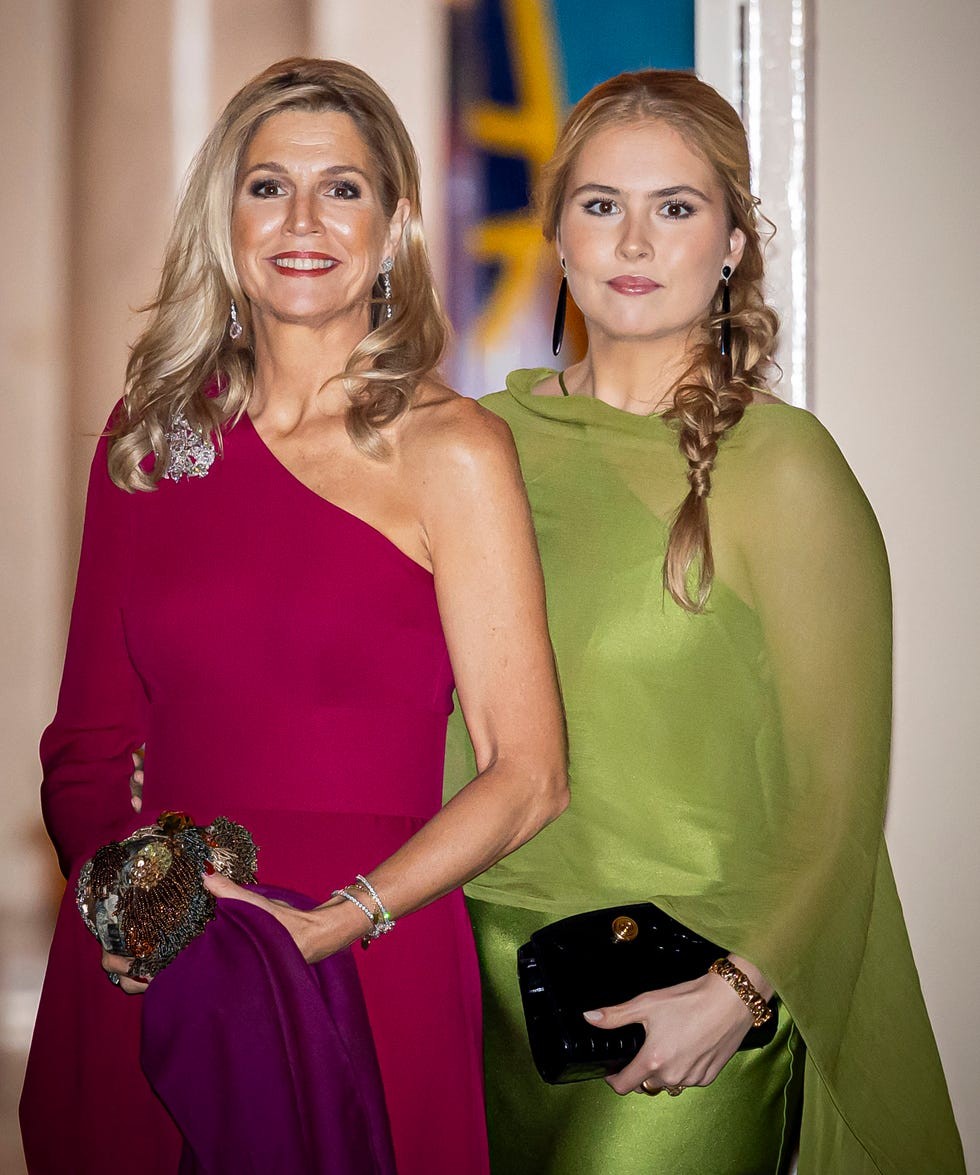 The Dutch Royals Attend The Council Of State Dinner