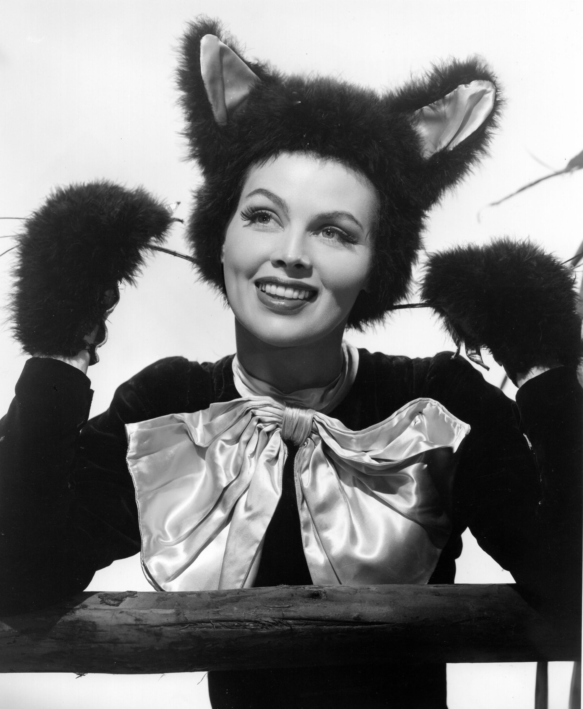 dusty anderson in halloween cat costume