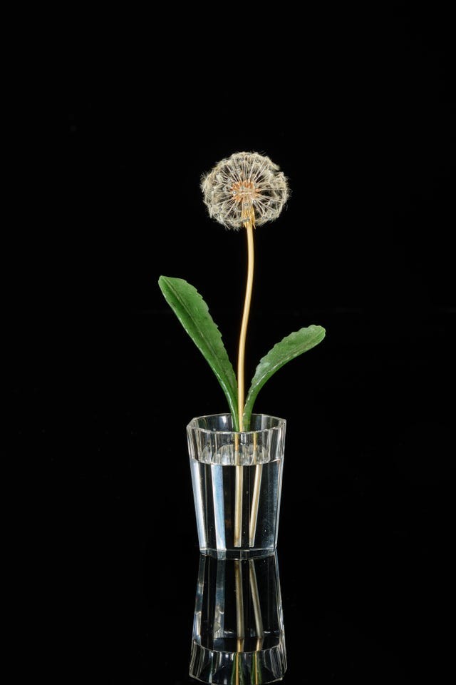 A dandelion flower with leaves in a clear glass on a reflective surface against a black background.